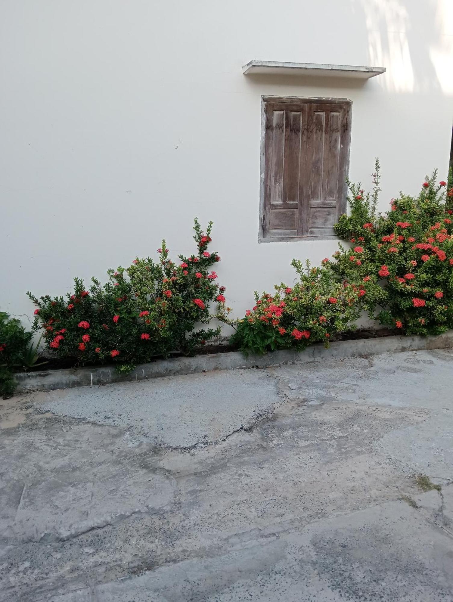 מואי נה Homestay Nhat Thi מראה חיצוני תמונה
